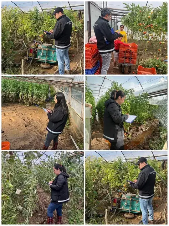 Kumluca’da Sel ve Hortumun Yaraları Sarılıyor mu? 6